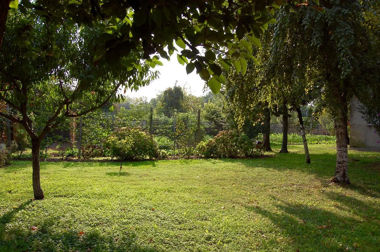 B&B Il Glicine San Martino dall'Argine